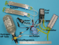 Spider Lion Internals