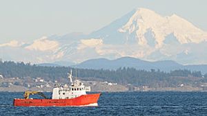 Tsekoa II UVic